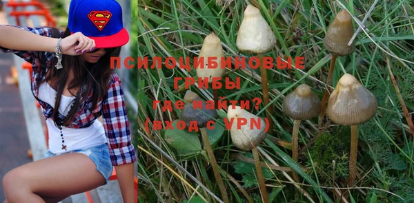 эйфоретик Козловка