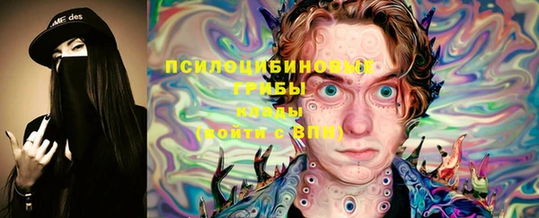 эйфоретик Козловка