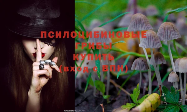 спайс Киренск